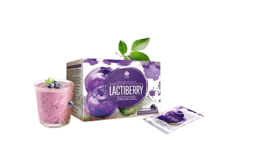 LACTIBERRY BEBIDA NUTRITIVA